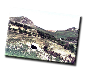 Necropoli di Gruttiddri
