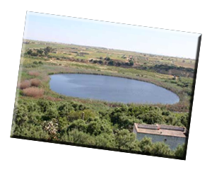 Riserva naturale Lago Preola e Gorghi Tondi