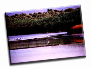 Saline di Vendicari