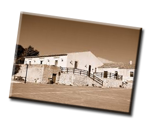 Parco ExtraUrbano Serra San Bartolo-Vittoria