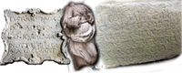 Collezioni storico-artistiche