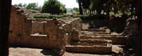 Laconicum
