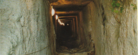 Il centoscale