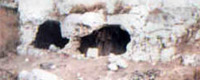 Villagio della Cavetta